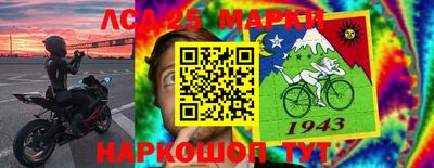 амф Донской