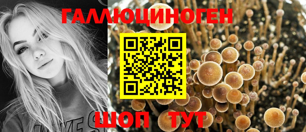 Муром  Галлюциногенные грибы MAGIC MUSHROOMS  Галлюциногенные грибы Magic Shrooms  Вход с VPN 