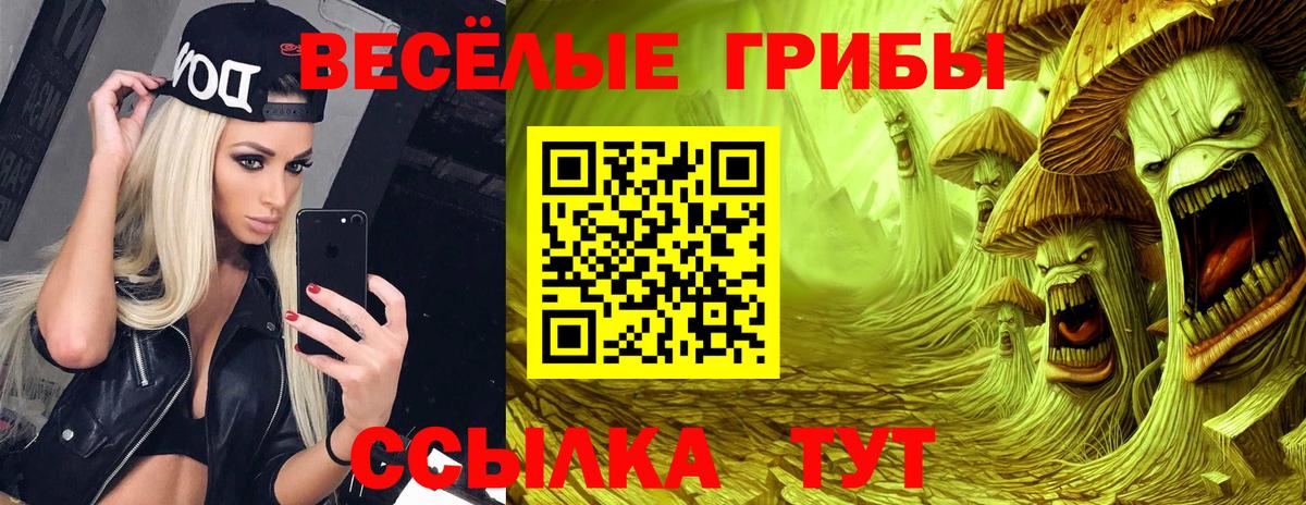 Псилоцибиновые грибы мухоморы Муром
